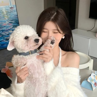 仙履奇缘2：美梦成真